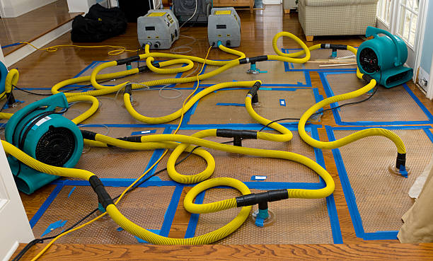 Professional Crawl Space Water Removal technician working in Valley City, ND